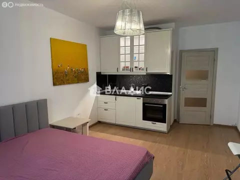 Квартира-студия: Кудрово, Столичная улица, 4к3 (27.01 м)