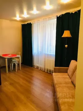 Студия Ленинградская область, Гатчина ул. Хохлова, 8 (33.0 м)