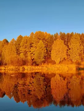 Дом в Свердловская область, Первоуральск городской округ, пос. ...