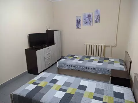 1-к кв. Псковская область, Псков ул. Металлистов, 2 (33.0 м)