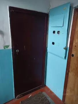 3-к кв. Омская область, Омск ул. Туполева, 3А (49.0 м)