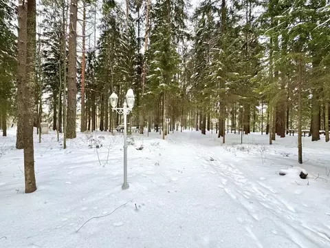 Участок в Санкт-Петербург пос. Репино, Ленгипроречтранс СНТ, ул. ...