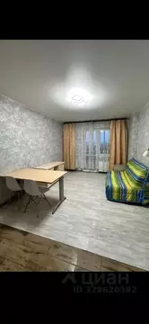 Студия Московская область, Дмитровский муниципальный округ, д. Целеево ...