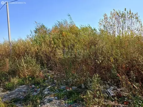 Участок в Тюмень, садоводческое некоммерческое товарищество Матрёшка, ...