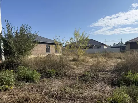 Участок в Оренбургская область, Оренбург Дубовый Плес СНТ, проезд 8-й ...