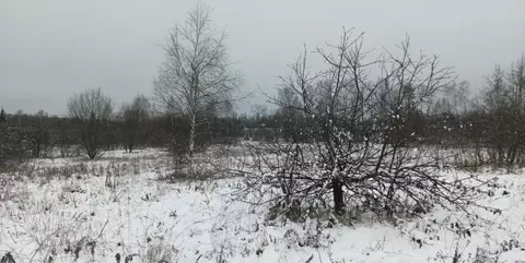 Участок в Московская область, Дмитровский муниципальный округ, с. ...