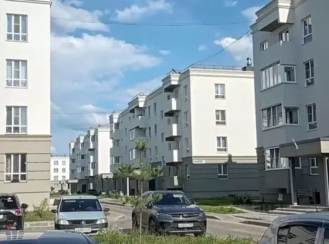 Студия Тверская область, Тверь ул. Медовая, 9к6 (17.3 м)