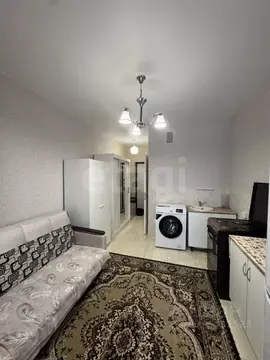 Студия Краснодарский край, Краснодар ул. Шевцова, 8 (16.8 м)