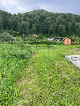 Участок в Алтай, Майминский район, с. Соузга Лесная ул. (18.0 сот.)