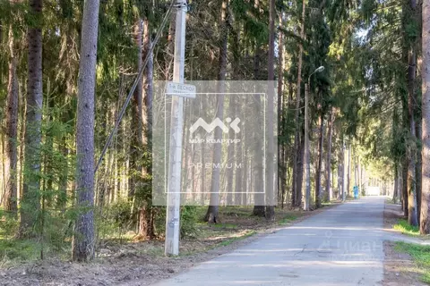 Участок в Санкт-Петербург, Санкт-Петербург, Зеленогорск ул. 1-я ...