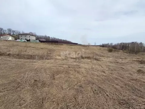 Участок в Калужская область, Бабынинский район, Муромцево с/пос, д. ...