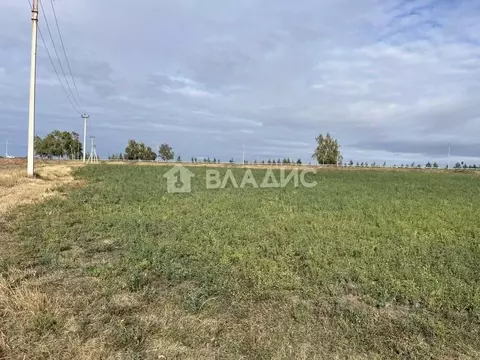 Участок в Белгородская область, Корочанский муниципальный округ, с. ...