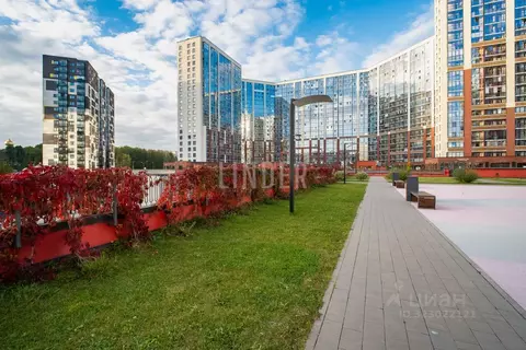 Студия Ленинградская область, Кудрово г. Всеволожский район, Заневское ...