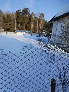 Дом в Брянская область, Брянский район, Нетьинское с/пос, Березовая ...