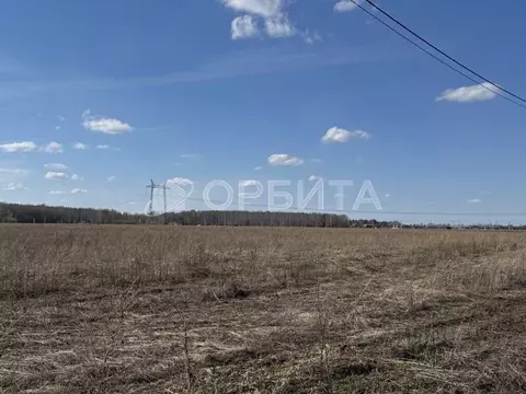 Участок в Тюменская область, Тюменский муниципальный округ, Каменское ...