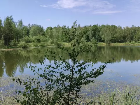 Участок в Московская область, Серпухов городской округ, Сосновый бор ...