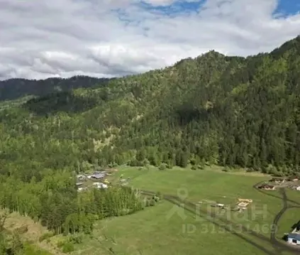 Участок в Алтай, Чемальский район, с. Турбаза Катунь ул. Романтиков, 1 ...