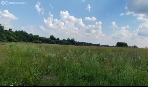 Участок в Московская область, муниципальный округ Чехов, деревня ...