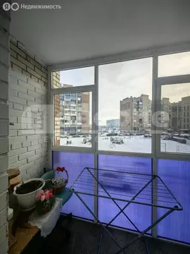 1-комнатная квартира: Омск, Светловская улица, 10 (21.1 м)