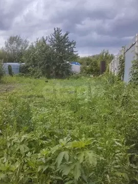 Участок в Оренбургская область, Оренбург Энергетик СНТ, 4-я линия, 59 ...