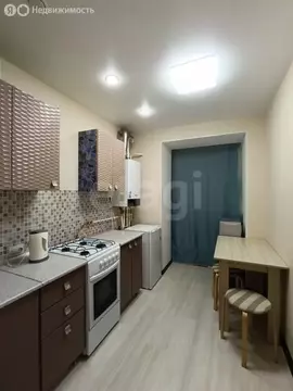 1-комнатная квартира: Михайловск, улица Ишкова, 91 (27 м)