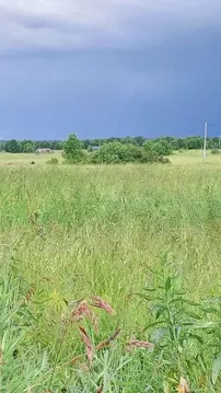 Участок в Новгородская область, Новгородский район, Трубичинское ...