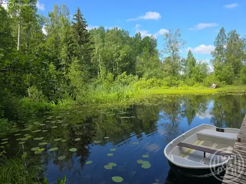 Участок в Ларионовское сельское поселение, посёлок Синёво (100 м)