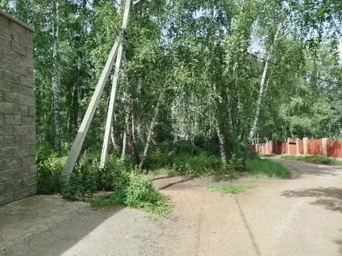 Участок в Башкортостан, Абзелиловский район, Ташбулатовский сельсовет, ...