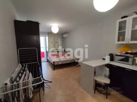 Студия Красноярский край, Красноярск ул. Карамзина, 6 (24.7 м)