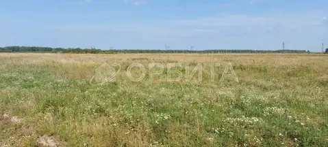 Участок в Тюменская область, Тюменский район, с. Щербак Трактовая ул. ...