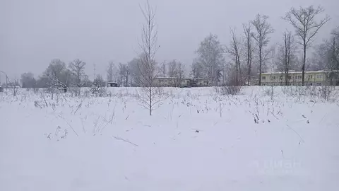 Участок в Московская область, Егорьевск муниципальный округ, с. ...