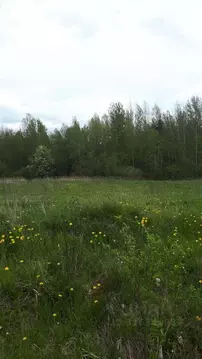 Участок в Санкт-Петербург, Санкт-Петербург, Пушкин Кондакопшино тер., ...