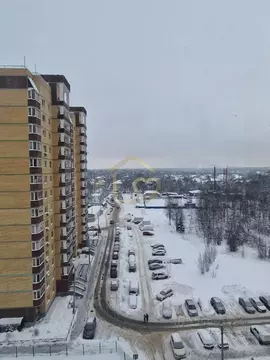 2-к кв. Московская область, Пушкинский городской округ, Зеленоградский ...