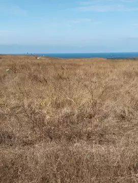 Участок в Краснодарский край, Темрюкский район, Тамань ст-ца  (5.0 ...