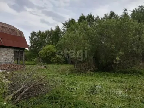 Участок в Вологодская область, Вологда Незабудка садоводческое ...