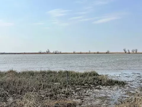 Участок в Ростовская область, Азовский район, Елизаветинское с/пос, ...