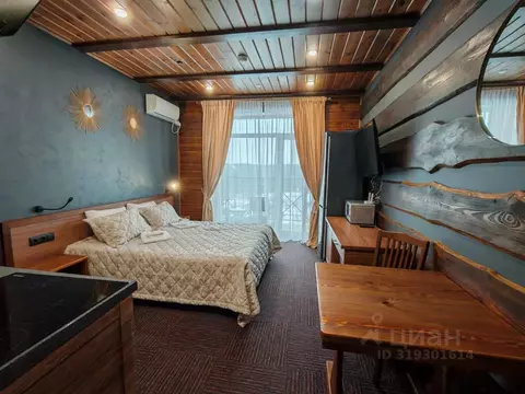 1-к кв. Челябинская область, Миасский городской округ, с. Сыростан ул. ...