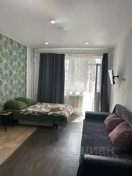 Студия Московская область, Старая Купавна Богородский городской округ, ...