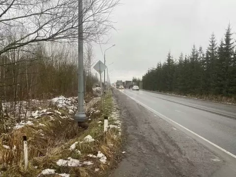 Участок в Ленинградская область, Ломоносовский район, Низинское с/пос, ...