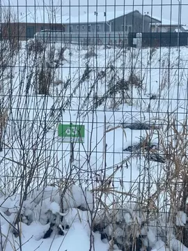 Участок в Ленинградская область, Ломоносовский район, Низинское с/пос, ...