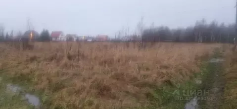 Участок в Московская область, Домодедово городской округ, с. Добрыниха ...