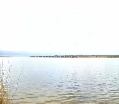 Участок в Волгоградская область, Волгоград ул. Белая (6.0 сот.)