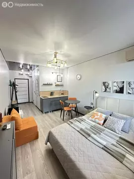 Квартира-студия: Сочи, микрорайон Бытха, Ясногорская улица, 16/2к5 (20 ...