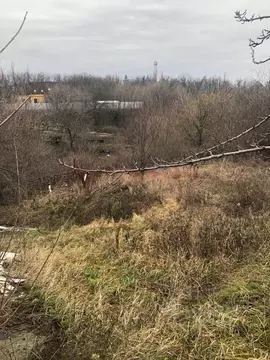 Участок в Ростовская область, Новочеркасск № 5А садовое товарищество, ...