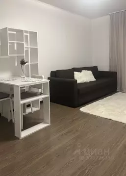 Студия Санкт-Петербург просп. Энергетиков, 9к6 (25.0 м)