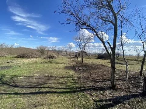 Участок в Ставропольский край, Ставрополь Встреча садовое ...