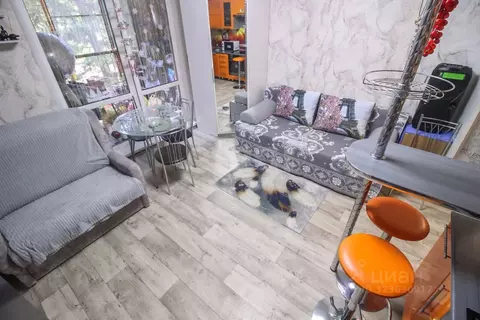 Студия Алтайский край, Барнаул тракт Змеиногорский, 82 (24.6 м)