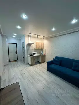 Студия Татарстан, Казань Портовая ул., 21 (21.0 м)