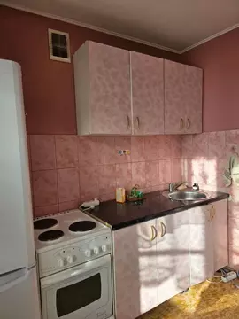 1-к кв. Новосибирская область, Новосибирск Владимировская ул., 1/2 ...