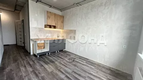 1-к кв. Новосибирская область, Новосибирск ул. Забалуева, 3/1 (37.6 м)